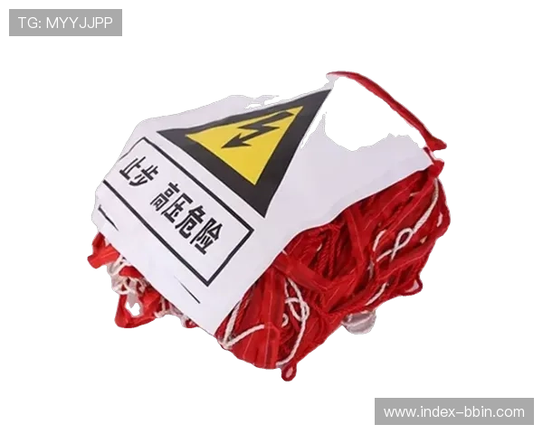 全面解析bbin评级网的信誉与安全保障措施 全面解析bbin评级网的信誉与安全保障措施