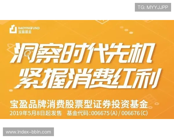 宝盈游戏官网理财产品介绍，丰富多样的投资选择满足不同需求